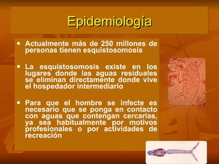 Epidemiología Actualmente más de 250 millones de personas tienen esquistosomosis La esquistosomosis existe en los lugares donde las aguas residuales se eliminan directamente donde vive el hospedador intermediario  Para que el hombre se infecte es necesario que se ponga en contacto con aguas que contengan cercarias, ya sea habitualmente por motivos profesionales o por actividades de recreación 