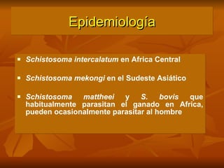 Schistosoma intercalatum  en Africa Central Schistosoma mekongi  en el Sudeste Asiático Schistosoma mattheei  y  S. bovis  que habitualmente parasitan el ganado en Africa, pueden ocasionalmente parasitar al hombre Epidemiología 