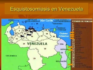 Esquistosomiasis en Venezuela 