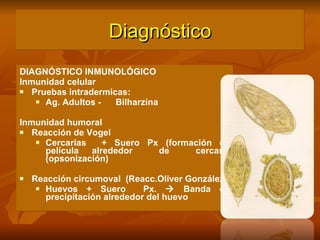 Diagnóstico DIAGNÓSTICO INMUNOLÓGICO Inmunidad celular Pruebas intradermicas: Ag. Adultos -  Bilharzina  Inmunidad humoral Reacción de Vogel Cercarias  + Suero Px (formación de película alrededor  de  cercaria (opsonización) Reacción circumoval  (Reacc.Oliver González) Huevos + Suero  Px.    Banda de precipitación alrededor del huevo 