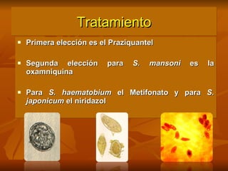 Tratamiento Primera elección es el Praziquantel  Segunda elección para  S. mansoni  es la oxamniquina Para  S. haematobium  el Metifonato y para  S. japonicum  el niridazol 