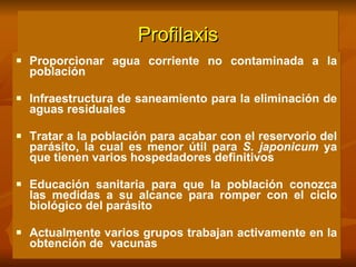 Profilaxis Proporcionar agua corriente no contaminada a la población Infraestructura de saneamiento para la eliminación de aguas residuales Tratar a la población para acabar con el reservorio del parásito, la cual es menor útil para  S. japonicum  ya que tienen varios hospedadores definitivos Educación sanitaria para que la población conozca las medidas a su alcance para romper con el ciclo biológico del parásito Actualmente varios grupos trabajan activamente en la obtención de  vacunas 