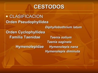 CESTODOS CLASIFICACION Orden Pseudophyllidea  Diphyllobothrium latum Orden Cyclophyllidea Familia Taenidae   Taenia solium   Taenia saginata Hymenolepidae  Hymenolepis nana Hymenolepis diminuta 