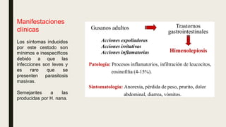 Manifestaciones
clínicas
Los síntomas inducidos
por este cestodo son
mínimos e inespecíficos
debido a que las
infecciones son leves y
es raro que se
presenten parasitosis
masivas.
Semejantes a las
producidas por H. nana.
 