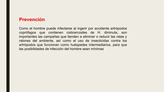 Prevención
Como el hombre puede infectarse al ingerir por accidente artrópodos
coprófagos que contienen cisticercoides de H. diminuta, son
importantes las campañas que tienden a eliminar o reducir las ratas y
ratones del ambiente, así como el uso de insecticidas contra los
artrópodos que funcionan como huéspedes intermediarios, para que
las posibilidades de infección del hombre sean mínimas
 