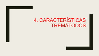 4. CARACTERÍSTICAS
TREMÁTODOS
 