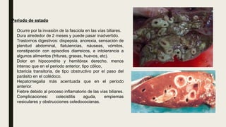Periodo de estado
• Ocurre por la invasión de la fasciola en las vías biliares.
• Dura alrededor de 2 meses y puede pasar inadvertido.
• Trastornos digestivos: dispepsia, anorexia, sensación de
plenitud abdominal, flatulencias, náuseas, vómitos,
constipación con episodios diarreicos, e intolerancia a
algunos alimentos (frituras, grasas, huevos, etc).
• Dolor en hipocondrio y hemitórax derecho, menos
intenso que en el periodo anterior, tipo cólico,
• Ictericia transitoria, de tipo obstructivo por el paso del
parásito en el colédoco.
• Hepatomegalia más acentuada que en el periodo
anterior.
• Fiebre debido al proceso inflamatorio de las vías biliares.
• Complicaciones: colecistitis aguda, empiemas
vesiculares y obstrucciones coledococianas.
 