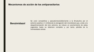 Mecanismos de acción de los antiparasitarios
Se unen competitiva y pseudoirreversiblemente a la B-tubulina por el
extremo positivo (+) inhibiendo la elongación del microtúbulo que, unido a la
despolimerización del otro extremo, se induce un acortamiento de estos
organelos hasta su deterioro completo y, por tanto, pérdida de la
homeostasis celular.
Benzimidazol
 