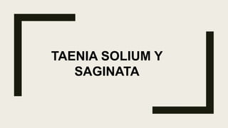 TAENIA SOLIUM Y
SAGINATA
 