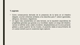 T. saginata
• Como consecuencia derivada de la presencia de la tenia en el intestino
delgado, ocurren síntomas similares a los descritos para T. solium (generales,
alérgicos, nerviosos y digestivos).
• Un signo más característico en esta teniosis, es la expulsión espontánea de
proglótidas grávidas que gracias a su movilidad, reptan a lo largo del intestino,
vencen el esfínter anal y salen al exterior, desplazándose por la zona perianal,
glúteos y parte superior de los muslos, el paciente relata el escurrimiento de
un cuerpo extraño que en ocasiones logra capturar.
 
