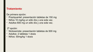 Tratamiento
De primera opción:
- Praziquantel: presentación tabletas de 150 mg
- Niños 10 mg/kg un sólo día y una sola vez.
- Adultos 600 mg un sólo día y una sola vez.
2º opción:
- Niclosamida: presentación tabletas de 500 mg
- Adultos: 2 tabletas 1 dosis
- Niños: 50mg/kg 1 dosis
 