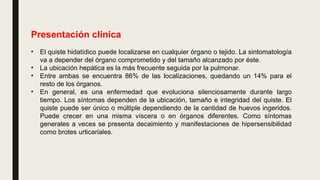 Presentación clínica
• El quiste hidatídico puede localizarse en cualquier órgano o tejido. La sintomatología
va a depender del órgano comprometido y del tamaño alcanzado por éste.
• La ubicación hepática es la más frecuente seguida por la pulmonar.
• Entre ambas se encuentra 86% de las localizaciones, quedando un 14% para el
resto de los órganos.
• En general, es una enfermedad que evoluciona silenciosamente durante largo
tiempo. Los síntomas dependen de la ubicación, tamaño e integridad del quiste. El
quiste puede ser único o múltiple dependiendo de la cantidad de huevos ingeridos.
Puede crecer en una misma víscera o en órganos diferentes. Como síntomas
generales a veces se presenta decaimiento y manifestaciones de hipersensibilidad
como brotes urticariales.
 