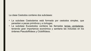 La clase Cestodos contiene dos subclases:
• La subclase Cestodarios está formada por cestodos simples, que
parasitan a peces primitivos y a tortugas;
• La subclase Eucestodos contiene las llamadas tenias verdaderas,
teniendo gran importancia económica y sanitaria las incluidas en los
órdenes Pseudofilídeos y Ciclofilídeos.
 