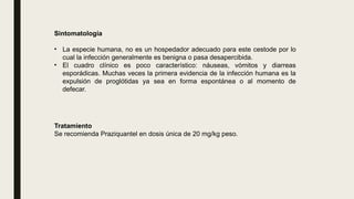 Sintomatología
• La especie humana, no es un hospedador adecuado para este cestode por lo
cual la infección generalmente es benigna o pasa desapercibida.
• El cuadro clínico es poco característico: náuseas, vómitos y diarreas
esporádicas. Muchas veces la primera evidencia de la infección humana es la
expulsión de proglótidas ya sea en forma espontánea o al momento de
defecar.
Tratamiento
Se recomienda Praziquantel en dosis única de 20 mg/kg peso.
 