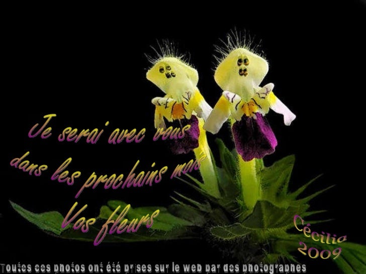 Cest Pour Toi Cette Rose