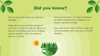 Did you know?
Did you know that a cat uses its whiskers
as feelers to determine if a space is too
small to squeeze through?
Also, cats love to sleep. A fifteen-year-old
cat has probably spent ten years of its life
sleeping.
Did you know that dogs can smell your
feelings?
Dogs can pick up on subtle changes in
your scent, which can help him figure out
how you are feeling, such as by smelling
your perspiration when you become
nervous or fearful.
 