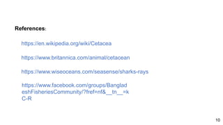 https://www.wiseoceans.com/seasense/sharks-rays
https://www.britannica.com/animal/cetacean
https://en.wikipedia.org/wiki/Cetacea
References:
https://www.facebook.com/groups/Banglad
eshFisheriesCommunity/?fref=nf&__tn__=k
C-R
10
 