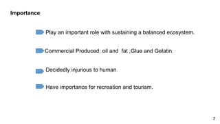Importance:
Play an important role with sustaining a balanced ecosystem.
Commercial Produced: oil and fat ,Glue and Gelatin.
Have importance for recreation and tourism.
Decidedly injurious to human.
7
 