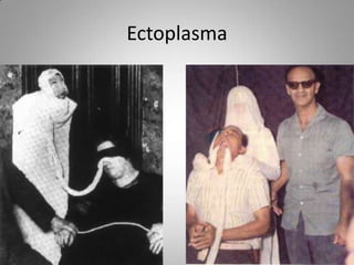 Ectoplasma