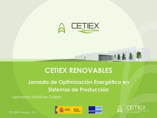 CETIEX RENOVABLES
                Jornada de Optimización Energética en
                       Sistemas de Producción
  Leonardo Martínez Suárez


© CETIEX. Badajoz - 2011
 