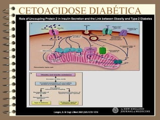 CETOACIDOSE DIABÉTICA
 
