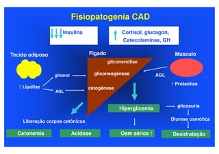 Fisiopatogenia CAD
                      Insulina                    Cortisol, glucagon,
                                                  Catecolaminas, GH

Tecido adiposo                     Fígado                                Músculo
                                            gliconenólise

                  glicerol             gliconeogênese            AGL
                                                                        ↑ Proteólise
   ↑ Lipólise                     cetogênese
                  AGL


                                                                          glicosuria
                                                 Hiperglicemia

     Liberação corpos cetônicos                                         Diurese osmótica


  Cetonemia                  Acidose             Osm sérica ↑           Desidratação
 