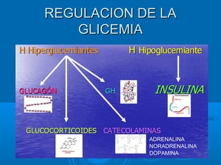 REGULACION DE LAREGULACION DE LA
GLICEMIAGLICEMIA
ADRENALINA
NORADRENALINA
DOPAMINA
 