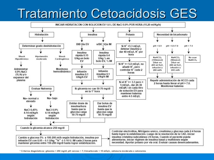 CETOACIDOSIS DIABETICA PDF FREE DOWNLOAD (extra bonus CETOACIDOSIS DIABETICA PDF FREE DOWNLOAD (extra bonus