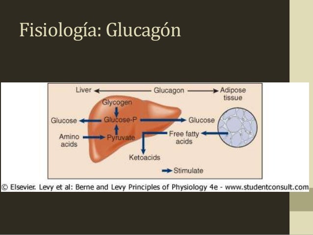 Cetoacidosis diabetica Cetoacidosis diabetica