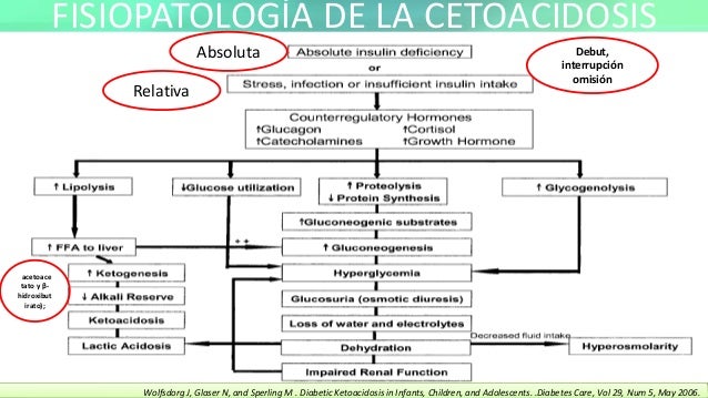 Cetoacidosis diabetica fisiopatologia pdf Cetoacidosis diabetica fisiopatologia pdf