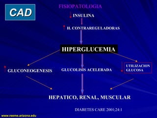 www.reeme.arizona.edu
www.reeme.arizona.edu
FISIOPATOLOGIA
INSULINA
H. CONTRAREGULADORAS
HIPERGLUCEMIA
GLUCONEOGENESIS GLUCOLISIS ACELERADA
UTILIZACION
GLUCOSA
HEPATICO, RENAL, MUSCULAR
DIABETES CARE 2001;24:1
CAD
CAD
 
