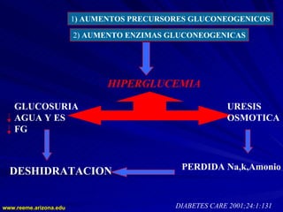 www.reeme.arizona.edu
www.reeme.arizona.edu
1) AUMENTOS PRECURSORES GLUCONEOGENICOS
2) AUMENTO ENZIMAS GLUCONEOGENICAS
HIPERGLUCEMIA
GLUCOSURIA
AGUA Y ES
FG
DESHIDRATACION
URESIS
OSMOTICA
PERDIDA Na,k,Amonio
DIABETES CARE 2001;24:1:131
 