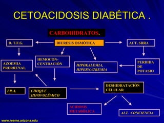 www.reeme.arizona.edu
www.reeme.arizona.edu
CETOACIDOSIS DIABÉTICA .
CETOACIDOSIS DIABÉTICA .
CARBOHIDRATOS.
DIURESIS OSMÓTICA
D. T.F.G.
HIPOKALEMIA,
HIPERNATREMIA
HEMOCON-
CENTRACIÓN
DESHIDRATACIÓN
CÉLULAR
I.R.A. CHOQUE
HIPOVOLÉMICO
ACT. SRRA
AZOEMIA
PRERRENAL
PERDIDA
DE
POTASIO
ALT. CONCIENCIA
ACIDOSIS
METABÓLICA
 