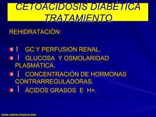 www.reeme.arizona.edu
www.reeme.arizona.edu
CETOACIDOSIS DIABÉTICA
CETOACIDOSIS DIABÉTICA
TRATAMIENTO
TRATAMIENTO
REHIDRATACIÓN:
REHIDRATACIÓN:
GC Y PERFUSIÓN RENAL.
GC Y PERFUSIÓN RENAL.
GLUCOSA Y OSMOLARIDAD
GLUCOSA Y OSMOLARIDAD
PLASMÁTICA.
PLASMÁTICA.
CONCENTRACIÓN DE HORMONAS
CONCENTRACIÓN DE HORMONAS
CONTRARREGULADORAS.
CONTRARREGULADORAS.
ÁCIDOS GRASOS E H+.
ÁCIDOS GRASOS E H+.
 