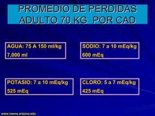 www.reeme.arizona.edu
www.reeme.arizona.edu
PROMEDIO DE PERDIDAS
PROMEDIO DE PERDIDAS
ADULTO 70 KG POR CAD
ADULTO 70 KG POR CAD
AGUA: 75 A 150 ml/kg
AGUA: 75 A 150 ml/kg
7,000 ml
7,000 ml
SODIO: 7 a 10 mEq/kg
SODIO: 7 a 10 mEq/kg
600 mEq
600 mEq
POTASIO: 7 a 10 mEq/kg
POTASIO: 7 a 10 mEq/kg
525 mEq
525 mEq
CLORO: 5 a 7 mEq/kg
CLORO: 5 a 7 mEq/kg
425 mEq
425 mEq
 