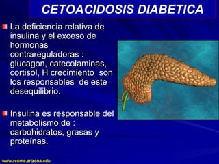 www.reeme.arizona.edu
www.reeme.arizona.edu
CETOACIDOSIS DIABETICA
La deficiencia relativa de
La deficiencia relativa de
insulina y el exceso de
insulina y el exceso de
hormonas
hormonas
contrareguladoras :
contrareguladoras :
glucagon, catecolaminas,
glucagon, catecolaminas,
cortisol, H crecimiento son
cortisol, H crecimiento son
los responsables de este
los responsables de este
desequilibrio.
desequilibrio.
Insulina es responsable del
Insulina es responsable del
metabolismo de :
metabolismo de :
carbohidratos, grasas y
carbohidratos, grasas y
proteínas.
proteínas.
 