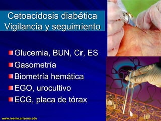 www.reeme.arizona.edu
www.reeme.arizona.edu
Cetoacidosis diabética
Cetoacidosis diabética
Vigilancia y seguimiento
Vigilancia y seguimiento
Glucemia, BUN, Cr, ES
Glucemia, BUN, Cr, ES
Gasometría
Gasometría
Biometría hemática
Biometría hemática
EGO, urocultivo
EGO, urocultivo
ECG, placa de tórax
ECG, placa de tórax
 