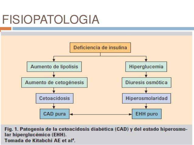 Cetoacidosis diabetica enfermeria 2016 Cetoacidosis diabetica enfermeria 2016