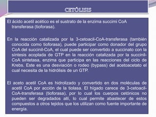 El ácido acetil acético es el sustrato de la enzima succimi CoA
transferasa (tioforasa).
En la reacción catalizada por la 3-cetoacil-CoA-transferasa (también
conocida como tioforasa), puede participar como donador del grupo
CoA del succinil-CoA, el cual puede ser convertido a succinato con la
síntesis acoplada de GTP en la reacción catalizada por la succinil-
CoA sintetasa, enzima que participa en las reacciones del ciclo de
Krebs. Este es una desviación o rodeo (bypass) del acetoacetato el
cual necesita de la hidrólisis de un GTP.
El aceto acetil CoA es hidrolizado y convertido en dos moléculas de
acetil CoA por acción de la tiolasa. El hígado carece de 3-cetoacil-
CoA-transferasa (tioforasa), por lo cual los cuerpos cetónicos no
pueden ser degradados allí, lo cual permite abastecer de estos
compuestos a otros tejidos que los utilizan como fuente importante de
energía.
 