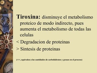 Tiroxina: disminuye el metabolismo
proteico de modo indirecto, pues
aumenta el metabolismo de todas las
celulas
< Degradacion de proteinas
> Sintesis de proteinas
(>/<, equivalen a las cantidades de carbohidratos y grasas en el proceso)
 