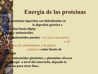 Energía de las proteínas
 Las proteínas ingeridas son hidrolizadas en
la digestión gástrica e
intestinal hasta dipép-
tidos y aminoácidos.
 Los aminoácidos pueden – en casos necesarios
y en
ausencia de carbohidratos y de grasas
utilizarse como fuente de
energía.
 Los aminoácidos glutámico y glutamina ofrecen
su energía a nivel del enterocito, dejando la
glucosa para otros fines.
 
