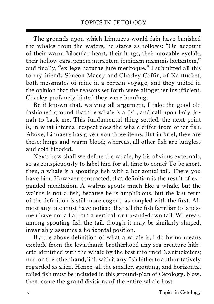Moby dick essay