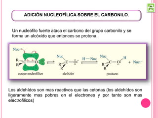 ADICIÓN NUCLEOFÍLICA SOBRE EL CARBONILO.
Un nucleófilo fuerte ataca el carbono del grupo carbonilo y se
forma un alcóxido que entonces se protona.
Los aldehídos son mas reactivos que las cetonas (los aldehídos son
ligeramente mas pobres en el electrones y por tanto son mas
electrofilicos)
 