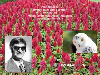 PRESERVE A NATUREZA
Imagens: Google
Formatação: Ana Lúcia T. Sguizzardi
Fotos by Ting
Música: Caminho das Estrelas – Kenio Fuke
Piano e Natureza – Vol. 2
 