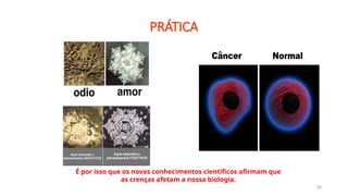 26
PRÁTICA
É por isso que os novos conhecimentos científicos afirmam que
as crenças afetam a nossa biologia.
 