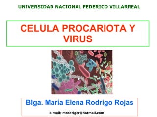 CELULA PROCARIOTA Y VIRUS Blga. María Elena Rodrigo Rojas UNIVERSIDAD NACIONAL FEDERICO VILLARREAL e-mail: mrodrigor@hotmail.com 