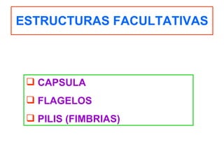 ESTRUCTURAS FACULTATIVAS CAPSULA FLAGELOS PILIS (FIMBRIAS) 