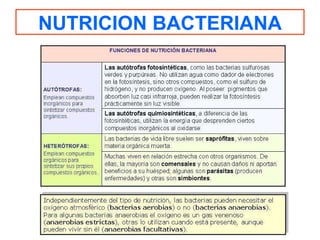NUTRICION BACTERIANA 