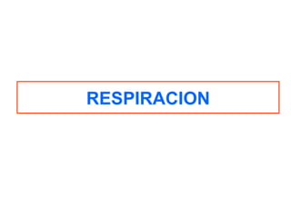 RESPIRACION 