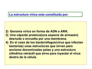 La estructura vírica esta constituida por:  Genoma vírico en forma de ADN o ARN.  Una cápside proteica(una especie de armazón) desnuda o envuelta por una membrana.  En el caso de los bacteriófagos(virus que infectan bacterias) unas estructuras que sirven para anclarse denominadas patas y una estructura cilíndrica retráctil que sirve para inyectar el virus dentro de la célula. 
